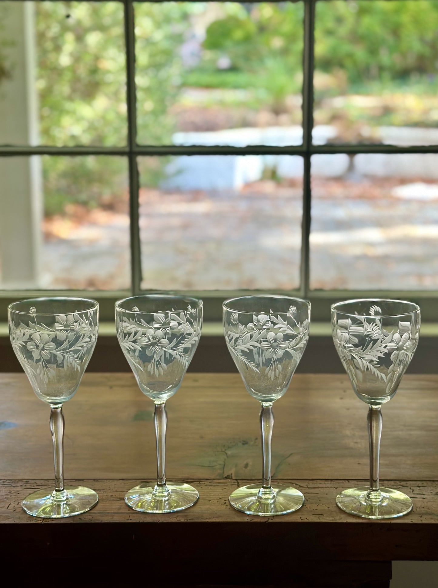 Crystal Etched Water Goblets (Set of 4)